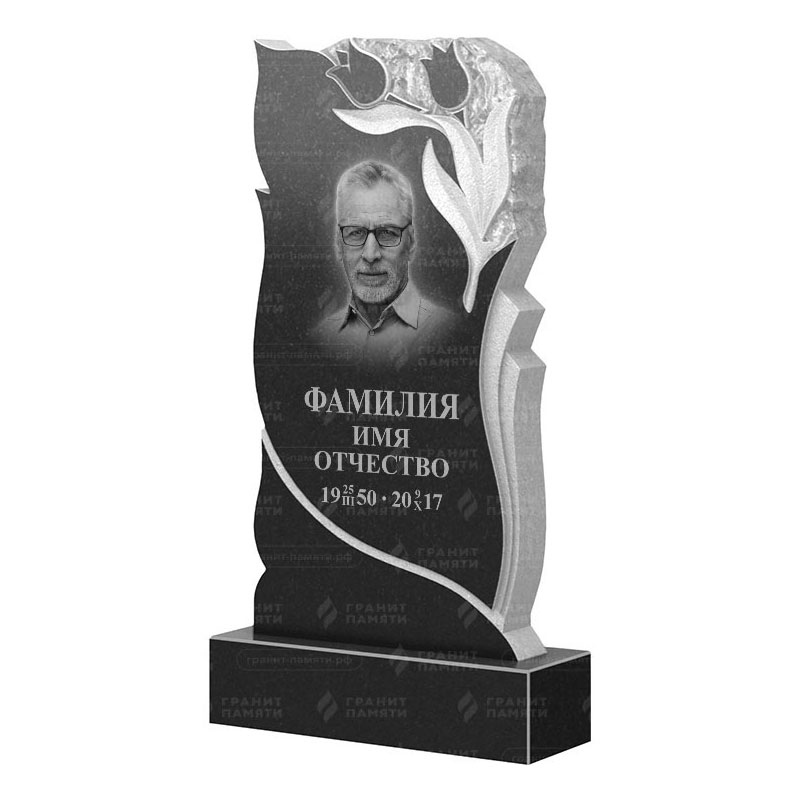 Гранитные памятники в Чапаевске | Гранитный памятник ФГ-223