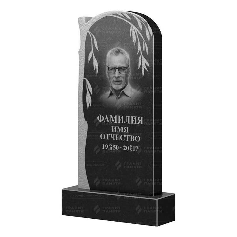 Памятники из гранита с деревом в Чапаевске | Гранитный памятник ФГ-090